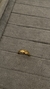 Anillo Meli (regulable)