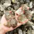 100 GR CUARZO ELESTIAL - Ser Mineral Accesorios