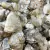 100 GR CUARZO ELESTIAL - tienda online