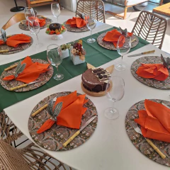 KIT CAPA DE SOUSPLAT GUIRLANDA COELHOS + GUARDANAPO E PORTA GUARDANAPO - 2 LUGARES