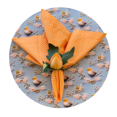 KIT CAPA DE SOUSPLAT PÁSSAROS + GUARDANAPO POÁ LARANJA - 2 LUGARES - comprar online