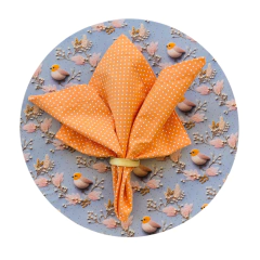 KIT CAPA DE SOUSPLAT PÁSSAROS + GUARDANAPO POÁ LARANJA - 2 LUGARES na internet