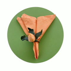 CAPA DE SOUSPLAT VERDE LIMÃO na internet