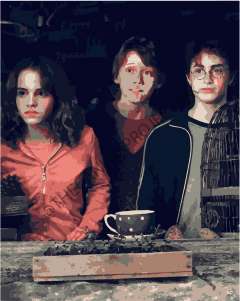 HARRY, HERMIONE Y RON - comprar en línea