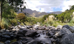 MERLO, SAN LUIS - comprar online