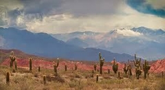 NOROESTE ARGENTINO - Millanti Viajes y Turismo - Legajo Nº 11109 San Rafael - Mendoza 