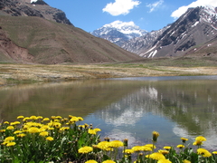 Alta Montaña - comprar online