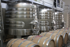 Entre Vides y Copas - Caminos del Vino - comprar online
