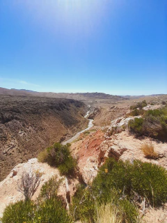 Las Leñas - tienda online