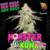 Auto Monster Skunk - Psychedelic Seeds (x3)