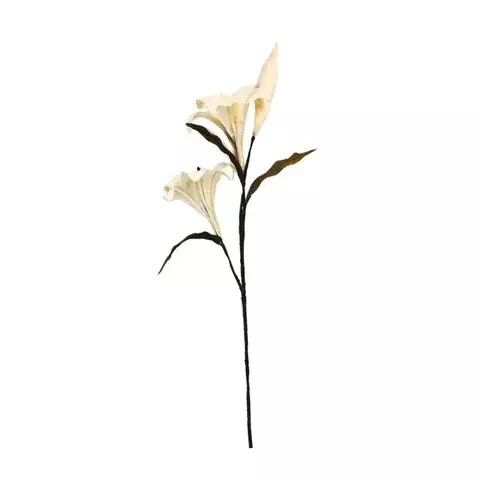 RAMA LIRIO NATURAL