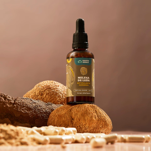 Melena de León - Tintura Madre 50 ml - comprar online