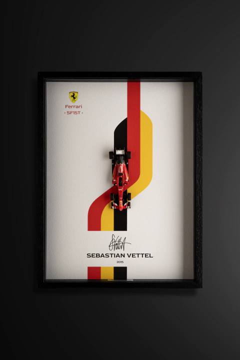 S. Vettel - comprar online