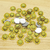 Chaton Redondo Pet Glamour G 16mm x 16mm 50und - Borda Dourada na internet
