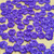 Botão Infantil PCT/100und - Margarida P Flor 2 Furos - comprar online