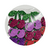 Adesivo Eva 1PCT/25und - Cereja - comprar online
