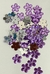 Chaton Flor 18mm X 18mm 1PCT/50und - Elastic Toque de Fada