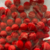 Pompom Para Artesanato 1PCT/100und - 14mm