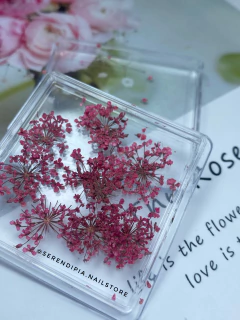 MINI NATURALEZA ROSA FUERTE