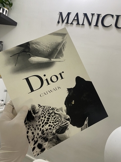 PORTADA CATWALK