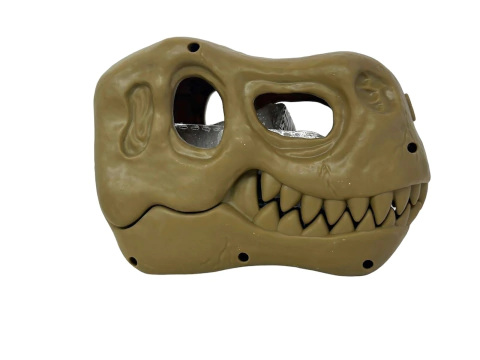 Set fosil para armar