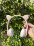 Auriculares Inalambricos Gatito