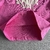 Imagem do Conjunto Feminino Syna World