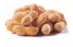 Mani en vaina x250gr - comprar online