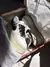 Nike Air Force - comprar online