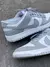 Nike SB Dunk - CINZA E BRANCO - comprar online