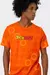 Camiseta Dragon Ball Esferas - alojinhageek