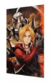 Quadro 3D Full Metal Alchemist na internet