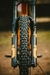 Pneu Goodyear Newton TC Downhill MTF - loja online