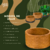 Vaso Xaxim de Fibra de Coco - Natural - loja online