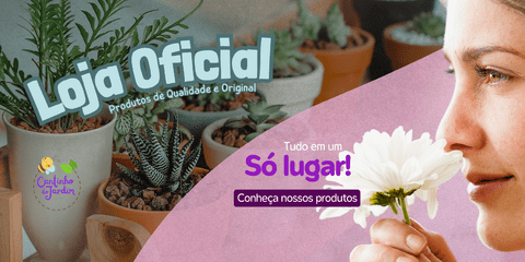 Carrossel 1
