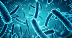DYSB-OZ (Saúde intestinal) - loja online