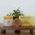 Vela vegetal Bomfloral Emergencial - comprar online