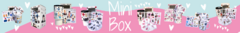Banner de la categoría Mini Box