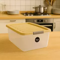 Caja Organizadora 12Lts con Tapa y Traba Star - comprar online