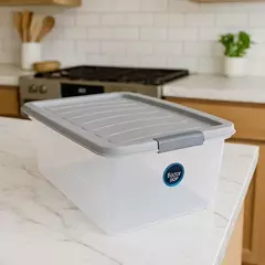 Caja Organizadora 12Lts con Tapa y Traba Star en internet