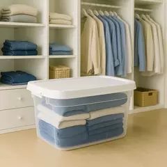 Caja Organizadora Super Box 66Lts - comprar online