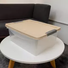 Caja Organizadora 12Lts con Tapa y Traba Star en internet