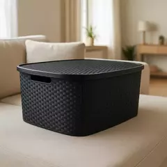 Caja Simil Ratan Zen 25Lts - comprar online