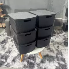 Caja Simil Ratan Premium Zen 25Lts Pack X6 Unidades - comprar online