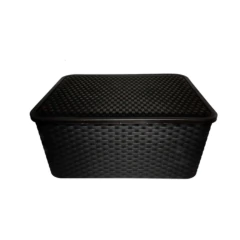 Imagen de Caja Organizadora Ratan N4 Pack X48 Unidades