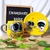 Walle y Eva en internet