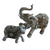 Elefante hindú (chico) en internet