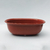Maceta para bonsai ovalada