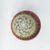 Cactus (mammillaria bombycina) - comprar online