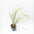 Stipa en internet